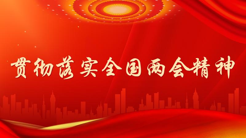贯彻落实全国两会精神